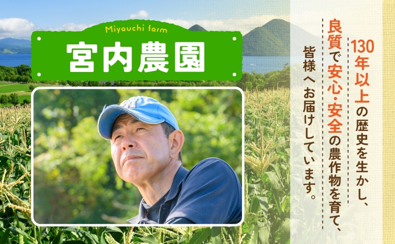 北海道産 とうもろこし 恵味 めぐみ 2L 10～12本 朝採り 恵み トウモロコシ 玉蜀黍 とうきび 大きめ スイートコーン 甘い 旬 夏 新鮮 もぎたて 朝採れ 産地直送