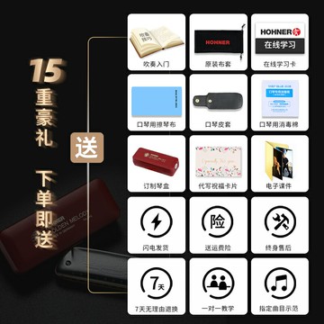 德國HOHNER和來Golden melody十孔10口琴新款GM布魯斯藍調口琴