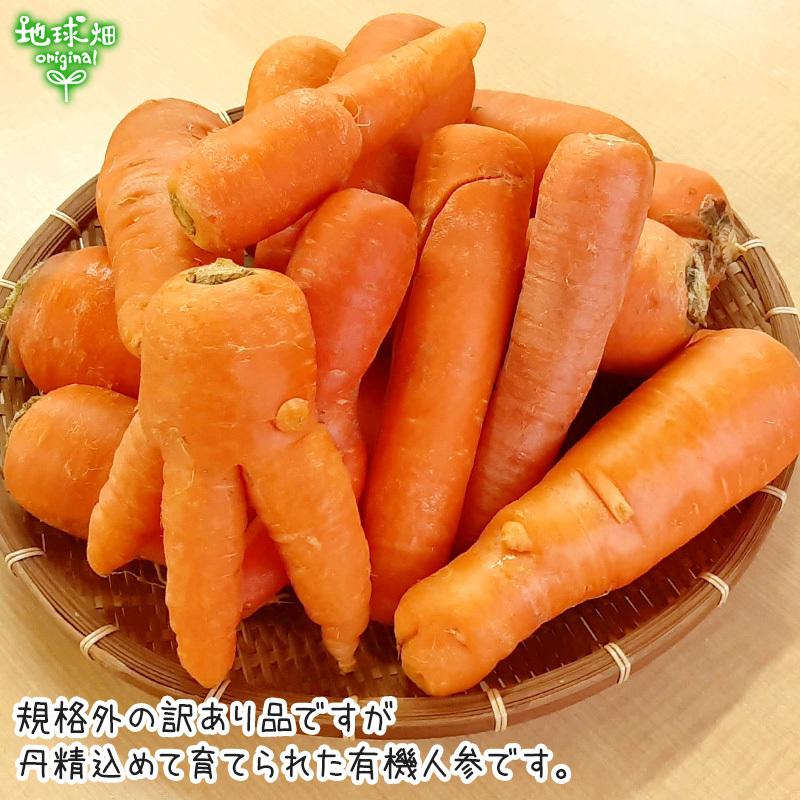 訳あり にんじん 18kg 有機栽培 鹿児島県産 宮崎県産 化学肥料・農薬・除草剤不使用 規格外 ジュース用 訳有 B品 人参 有機JAS 常温便 発送期間11月下旬〜6月