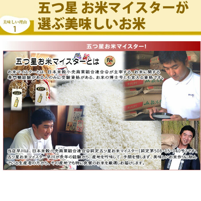 新潟米 新之助 5kg 新潟県産 お米 米 白米 ご飯 ライス お米 大粒 甘味 しんのすけ 新潟 お米 白米 ご飯