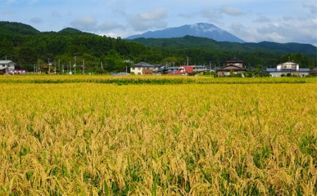 《令和５年度産》武田家のお米 きらほ（玄米）20kg＜合鴨農法＞   米 ５キロ ４袋 アイガモ