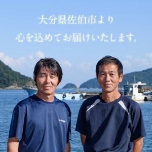 ふるさと納税 とらふぐ ぶつ切り ちり鍋用 (計430g・3-4人前) 冷凍 ふぐ ふぐ鍋 てっちり鍋 お取り寄せ 鮮魚 養殖 国産 ポン酢 大分県 佐伯市【D.. 大分県佐伯市