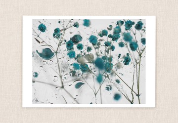 明信片照片 #2 – 3 套