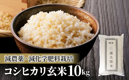 八重原産特別栽培米（減農薬・減化学肥料栽培）コシヒカリ玄米１０kg