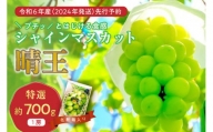 岡山県産シャインマスカット「晴王」　特選　大房　化粧箱入　1房（約700g）（令和６年8月中旬以降発送）