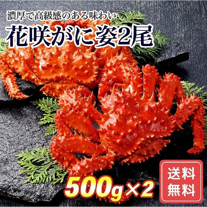 荒木商店花咲がに姿2尾(500g×2)  FUJI お歳暮 お中元  送料無料