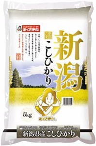 新潟県産 白米 こしひかり 5kg 令和4年産