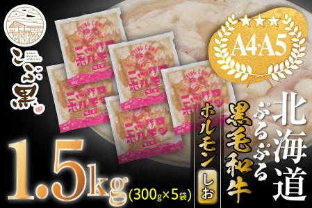 北海道産 黒毛和牛 こぶ黒 和牛 しお ホルモン 計 1.5kg (300g×5パック) ＜LC＞