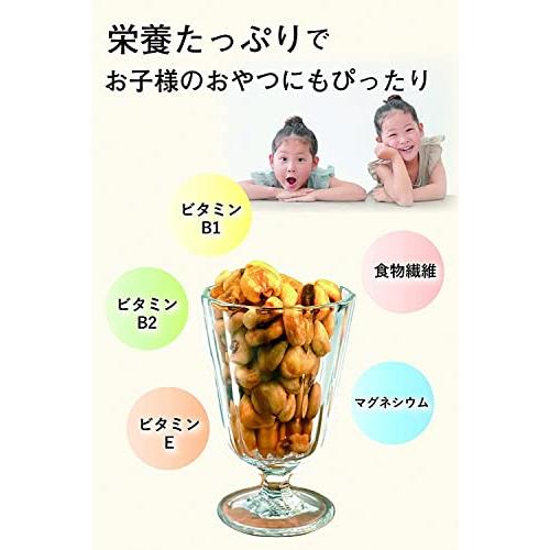 ジャイアントコーン 豆菓子 業務用 お菓子 ナッツ とうもろこし トウモロコシ じゃいあんとこーん コーン