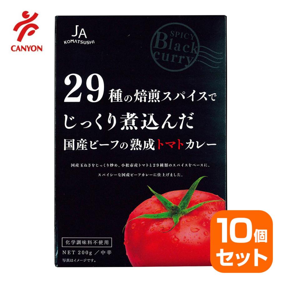 国産ビーフの熟成トマトカレー 200g 中辛