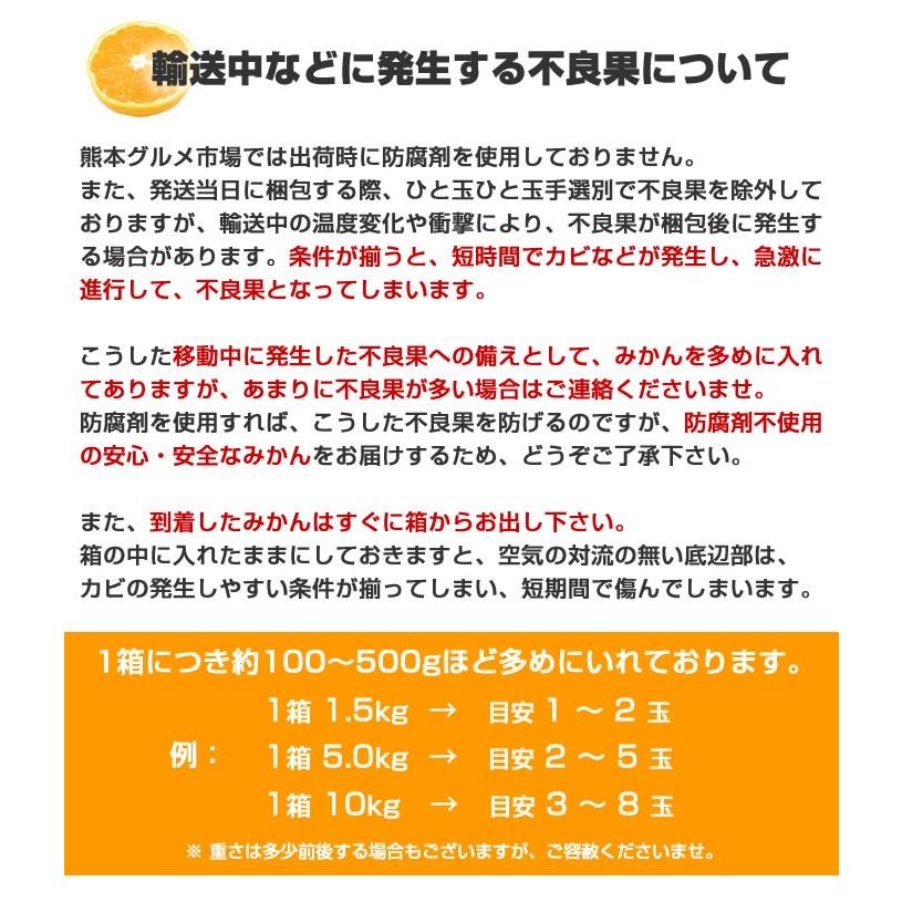 みかん 熊本 訳あり 送料無料 1.5kg  2セット購入で1セットおまけ 3セット購入でダブル増量3セットおまけ 極早生 は果皮が緑