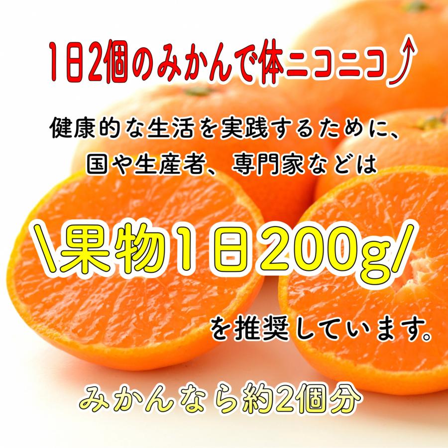 みかん ミカン 和歌山県産 有田みかん 蜜柑 サイズおまかせ 5ｋｇ 温州みかん 光センサー 贈り物 自宅用