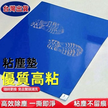 台灣出貨【可撕式粘塵墊】一次性地墊 粘塵墊 入戶粘塵墊 次性粘塵墊 粘灰墊 可撕式粘 除塵腳墊 門口沾灰鞋底 免清洗除塵