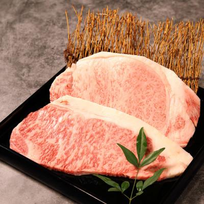 ふるさと納税 日向市 宮崎牛ロースステーキ300g