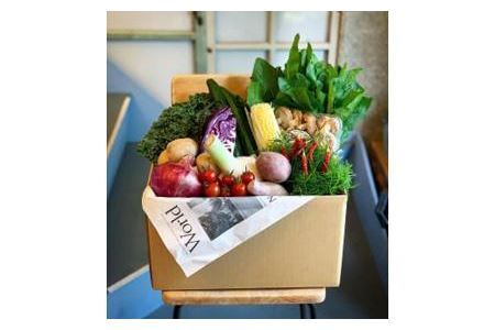 野菜詰め合わせ 旬の野菜 (約13品)｜野菜 ボックス BOX セット セレクト 農家 おまかせ 多品目 旬 詰め合わせ 根菜 葉物 旬の野菜 季節