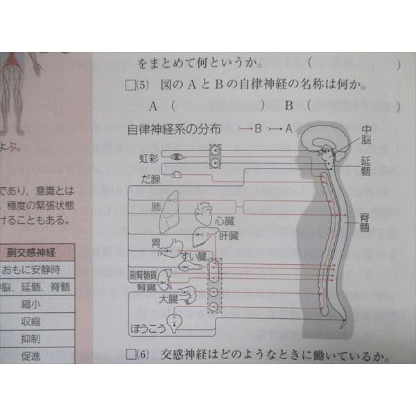 TQ93-158 実教出版 アクセスノート生物基礎[新課程] 05s1B