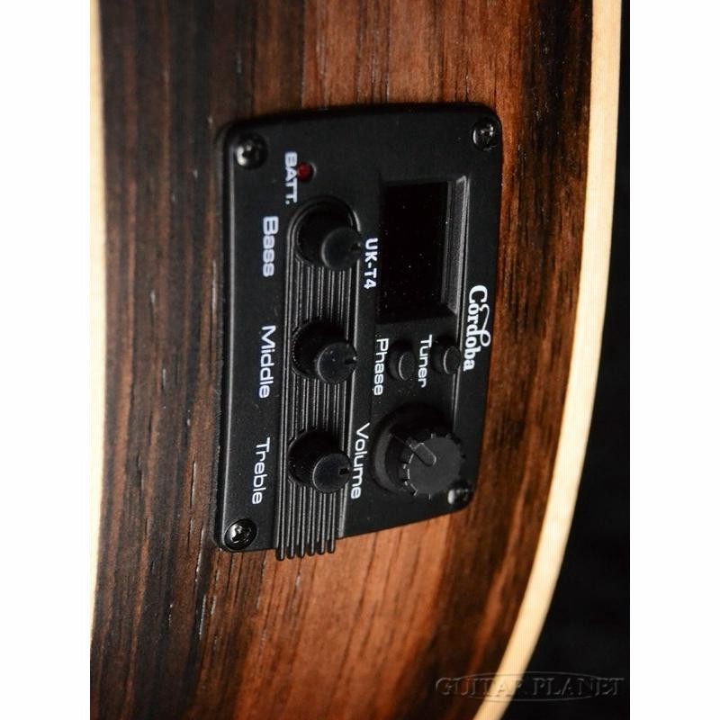 Cordoba Mini II Bass EB-E 新品 ミニアコースティックベース