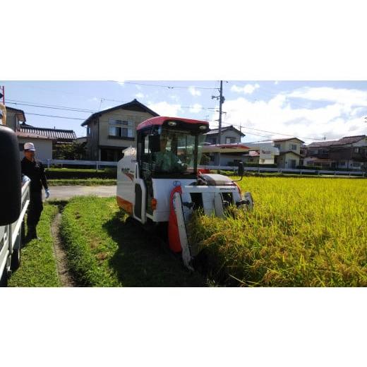 ふるさと納税 鳥取県 倉吉市 倉吉農高の米　縁結び（白米） （300ｇ×3袋）