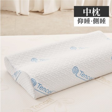 ELVIS 愛菲斯┃天絲舒柔記憶枕(EMMA優惠)