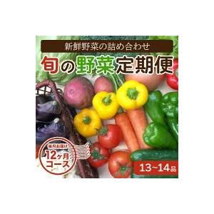 ふるさと納税 定期便 野菜 12回 13〜14品 セット 1年間 旬 詰め合わせ お楽しみ お届け 新鮮 産地直送 高知 須崎 トマト 人参 タマネギ ブロッコ.. 高知県須崎市