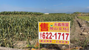 美濃雙面臨路玉米甜香農地｜高雄市美濃區成功段