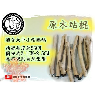 天然站棍 鸚鵡木站棍 鸚鵡玩具 25公分長 鸚鵡通用