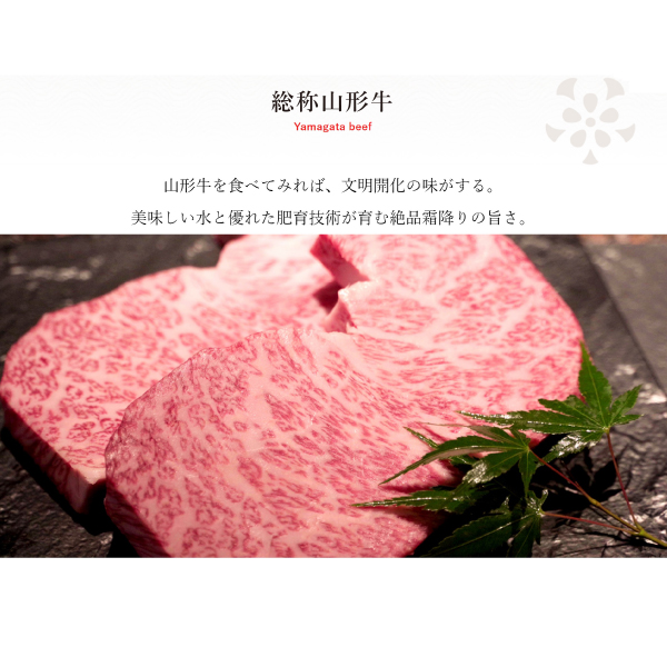 肉 牛肉 牛肩ロース 牛モモ ギフト 500g BBQ 山形牛