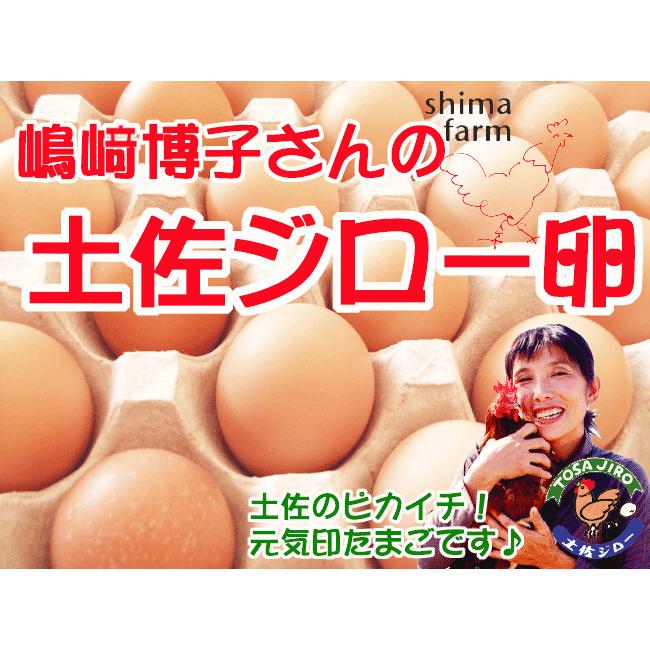 島崎ファーム 嶋﨑博子の土佐ジロー 土佐ジローたまご 6個入