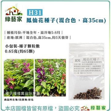 【綠藝家】H31.鳳仙花(混合色，高35cm)種子0.65克(約65顆)