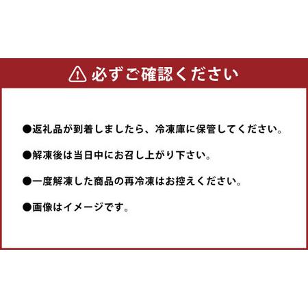 ふるさと納税 熊本 馬刺し 霜降り (中トロ) 1kg 小袋たれ 小袋生姜付き 馬肉 熊本県宇城市