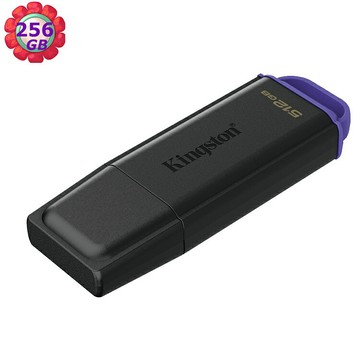 Kingston 256G 256GB DataTraveler Exodia USB 3.2 DTXG2/256GB 隨身碟