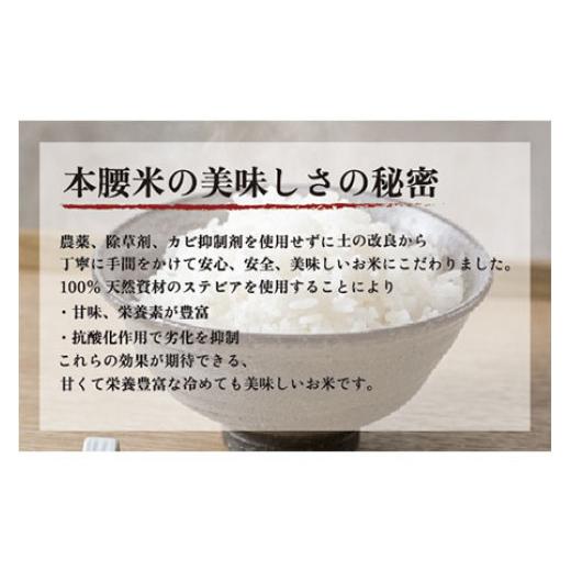 ふるさと納税 千葉県 大網白里市 本腰米10kg 玄米 千葉県産コシヒカリ 農薬不使用 お米 10kg 千葉県産 大網白里市 コシヒカリ 農薬不使用 米 玄米 こめ 送料無…