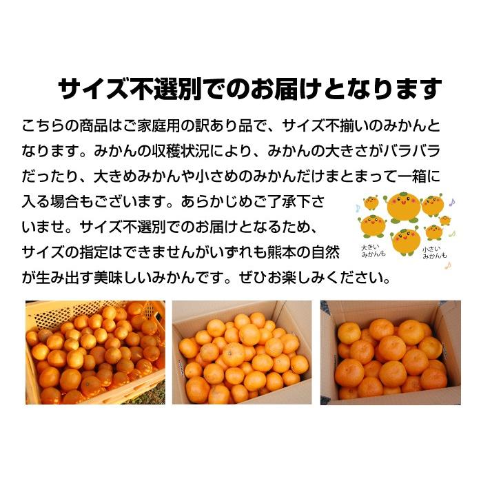 みかん 熊本 訳あり 送料無料 1.5kg  2セット購入で1セットおまけ 3セット購入でダブル増量3セットおまけ 極早生 は果皮が緑