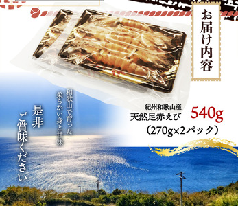 紀州和歌山産天然足赤えび540g（270g×2パック）化粧箱入 ※2023年11月上旬～2024年2月下旬頃順次発送予定（お届け日指定不可）／海老 エビ えび クマエビ 足赤 天然 おかず