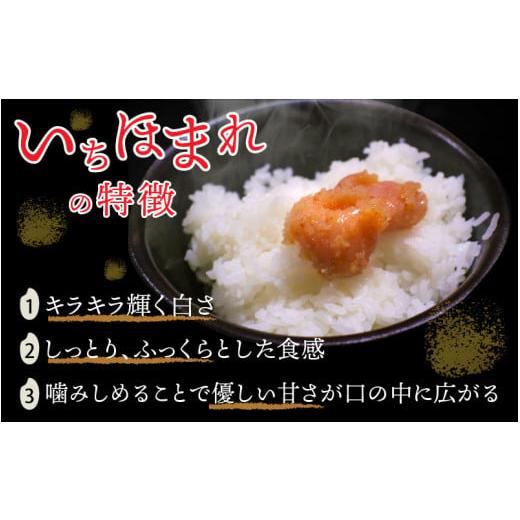 ふるさと納税 福井県 永平寺町 令和5年度産 福井県産新ブランド米 いちほまれ 10kg（5kg×2袋）×3ヶ月（計30kg） [F-002003]