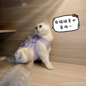 寵物衣服 軟嫩好眠睡衣 防舔衣 手術衣 包肚衣 術後衣 貓咪手術服寵物絶育服母貓斷奶服防舔防掉毛術後衣服寵物術後用品