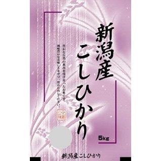 お米 10kg 5kg×2 新潟県こしひかり 令和4年産 やはり安定の新潟米