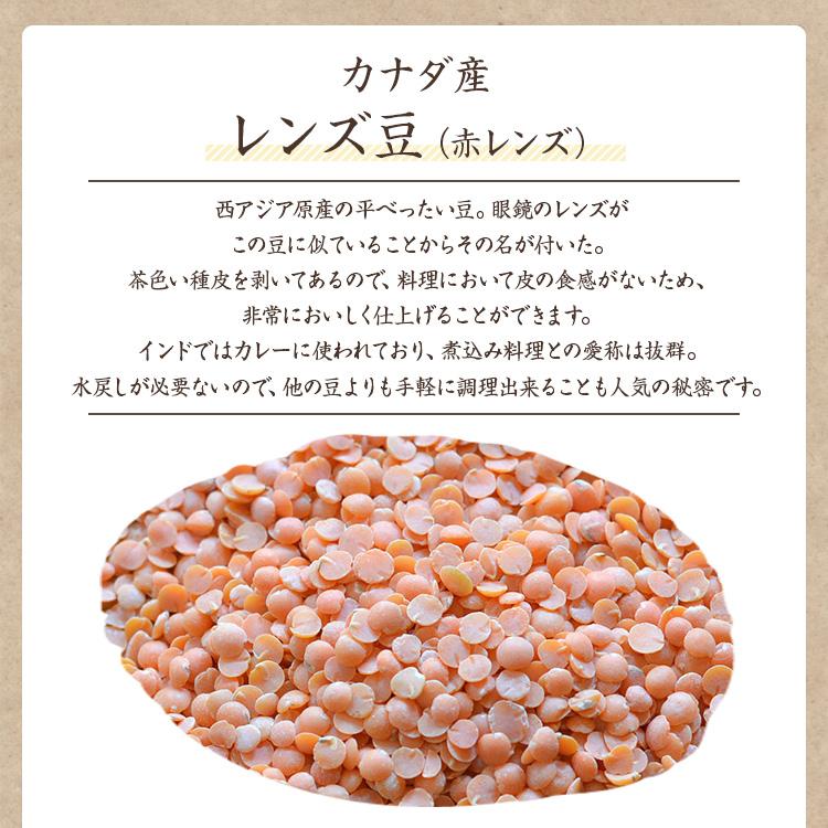 レッドレンズ 1kg カナダ産 レンズ豆 （赤レンズ） 皮なしレンズ豆