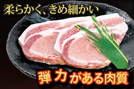 ローズポーク ロース とんかつ・ソテー用 約700g (140g×5枚) 茨城県共通返礼品 ブランド豚 茨城 国産 豚肉 冷凍 とんかつ ソテー