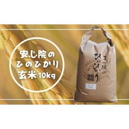 ふるさと納税 A-361 安心院のひのひかり玄米 10kg ひのひかり 減農薬 玄米 ふるさと米 大分県宇佐市