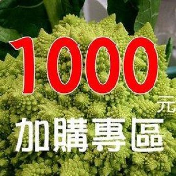 加購專區-1000元