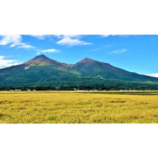 ふるさと納税 福島県 郡山市 令和5年産 福島県産 あさか舞コシヒカリ 無洗米10kg（5kg×2袋）