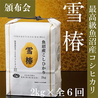 ふるさと納税 津南町 2024年1月発送開始『定期便』高級魚沼産コシヒカリ「雪椿」2kg×全6回