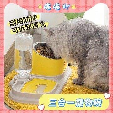 三合一寵物碗 寵物碗 貓咪碗 不鏽鋼寵物碗 餵食碗 雙碗設計 可拆卸清洗 不鏽鋼防滑碗 耐用寵物碗