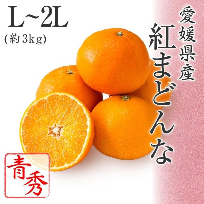 (12月上旬頃より順次発送) 2023 お歳暮 ギフト 愛媛県産 紅まどんな L〜2Lサイズ 約3kg 青秀品 化粧箱入り みかん ミカン