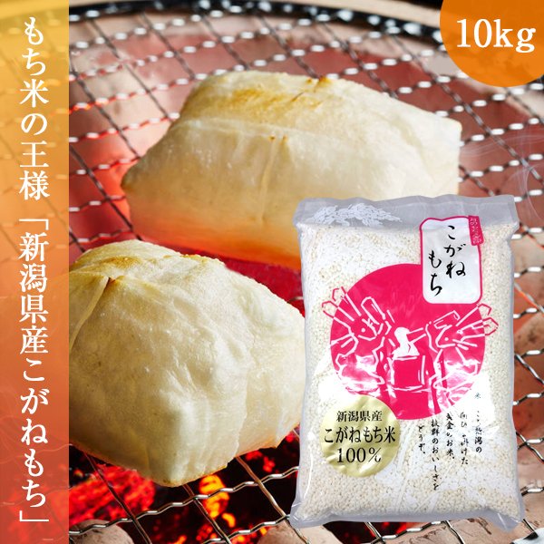 もち米 10kg(1kg×10袋) こがねもち 令和5年産 お米 新潟県産 送料無料