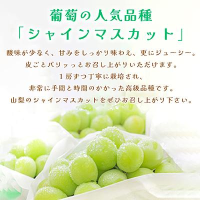 ふるさと納税 山梨市 山梨県産シャインマスカット2.5kg以上(4〜6房) ふるさと納税