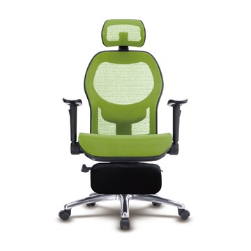 LOGIS 阿爾邦雙網人體工學椅(全網椅 辦公椅 電腦椅)T85CSZ綠