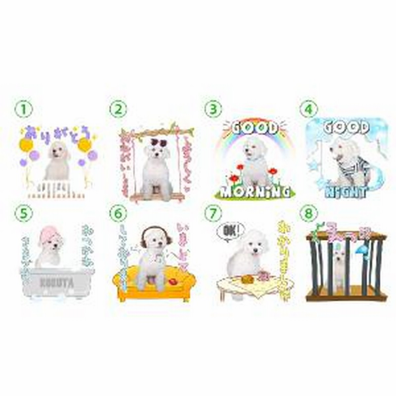 ペピイ Peppy限定 うちの子lineスタンプ 日常会話2 写真でつくるオリジナルlineスタンプ 犬用 通販 Lineポイント最大7 0 Get Lineショッピング