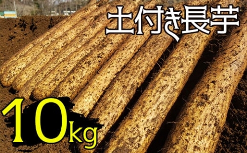 変色しない！ 土付き 長芋 10kg  ／ とろろ 山かけ